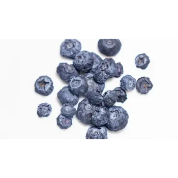 Organic Dried Blueberries